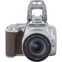 Canon EOS 250D + 18-55мм IS STM Kit, серебристый