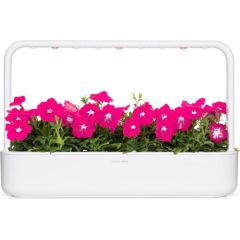 Click & Grow Smart Garden refill Pink Petunia 3pcs