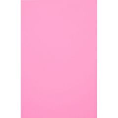 Evelatus  Universal Color Shinning Film for Screen Cutter Light Pink