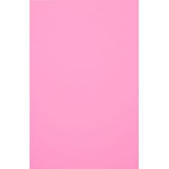 Evelatus  Universal Color Shinning Film for Screen Cutter Light Pink Ekrānu aizsardzība