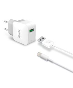 USB Lightning Travel Adapter By Celly White