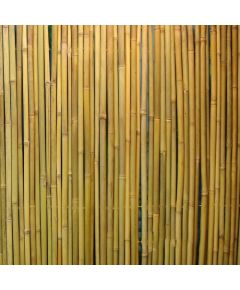 Perforēts bambusa žogs IN GARDEN 2x3m, dabīgais bambuss D14/16 mm, stieple iekšpusē