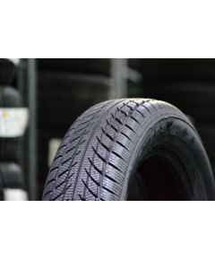 Goodride SW608 185/55R15 (winter)