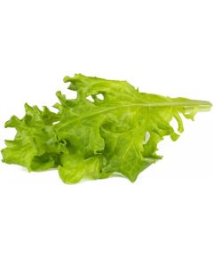 Click & Grow Smart Refill Oakleaf Lettuce 3pcs