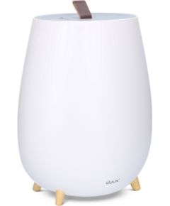 Duux Humidifier Gen2  Tag  Ultrasonic, 12 W, Water tank capacity 2.5 L, Suitable for rooms up to 30 m², Ultrasonic, Humidification capacity 250 ml/hr, Black