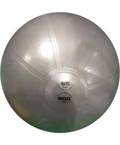 Gym ball TOORX PRO AHF148 D65cm antiburst grey