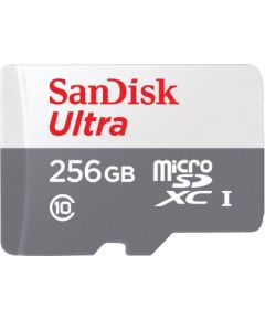 MEMORY MICRO SDXC 256GB UHS-I/SDSQUNR-256G-GN3MN SANDISK