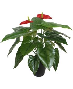 Mākslīgs augs ANTHURIUM H45cm, flamingo, melns puķupods