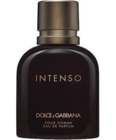 Dolce & Gabbana Pour Homme Intense EDP 40ml