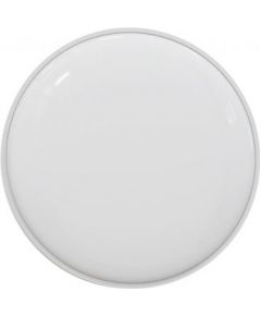 Xiaomi Yeelight Ceiling Smart Light 450mm C2001C450