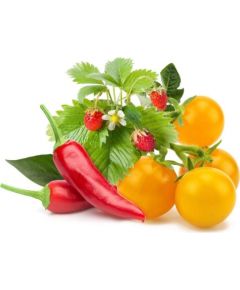 Click & Grow Plant Pod Fruit & Veggie Mix 9 шт.