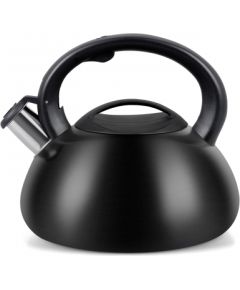 Kettle PROMIS TMC01BS AUGUSTO MATTE 3 liters INDUCTION, GAS