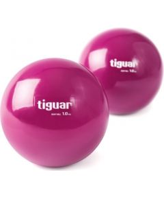 Tiguar heavyball balls TI-PHB010