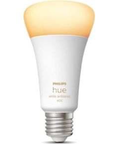 LIGHT BULB E27 13W WHITE/929002471901 PHILIPS