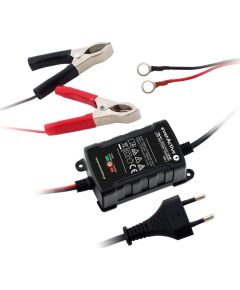 Akumulatoru lādētajs EverActive CAR BATTERY CHARGER 6V/ 12V