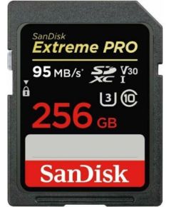 MEMORY SDXC 256GB UHS-1/SDSDXXD-256G-GN4IN SANDISK