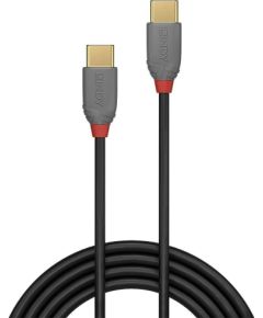 CABLE USB2 TYPE C 2M/ANTHRA 36872 LINDY