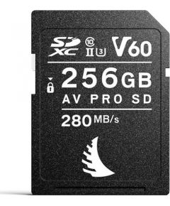 Angelbird AV PRO SD MK2 V60 SDXC 256 GB Class 10 UHS-II/U3 V60 (AVP256SDMK2V60)