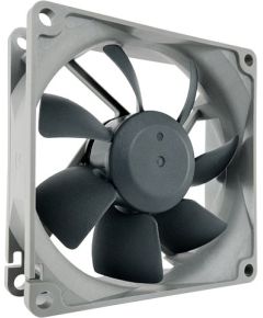 Noctua NF-R8 redux-1800 Computer case Fan 8 cm Black, Grey