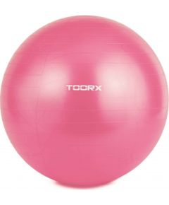 Toorx Гимнастический мяч AHF-012 D55cm su pompa Fitnesa bumbas