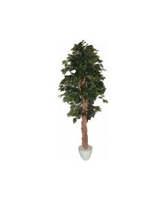 Mākslīgais augs/koks 180cm Fikuss D317TD