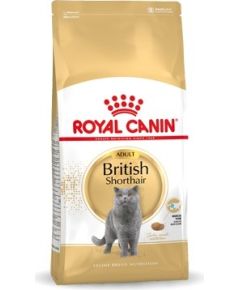 Royal Canin British Shorthair Adult cats dry food 4 kg