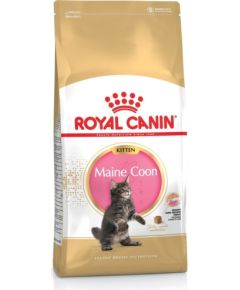 Royal Canin Maine Coon Kitten cats dry food Poultry,Rice 4 kg