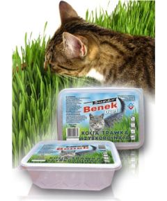 Certech 10319 pet grass seed Cat