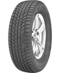 245/30R20 GOODRIDE PCR SW608 90V XL 0 Studless DCB72