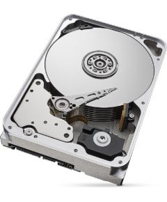 Seagate IronWolf Pro ST16000NT001 internal hard drive 3.5" 16000 GB