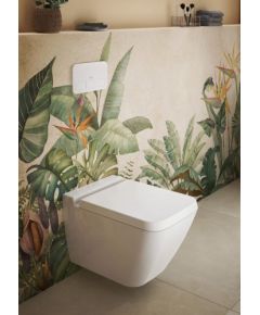 Villeroy & Boch taustiņš ViConnect E200, 253x145 mm, matēts hroms