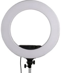 StudioKing LED круговой свет Set LED-480ASK