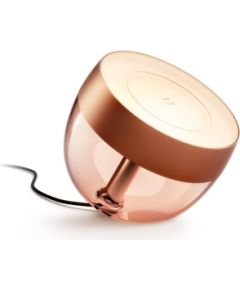 Philips Hue Iris Portable lamp, Copper special edition