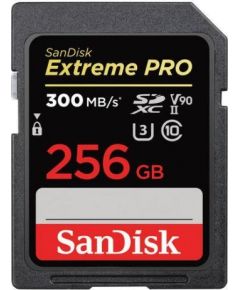 MEMORY SDXC 256GB UHS-II/SDSDXDK-256G-GN4IN SANDISK