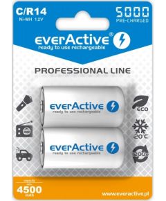 Rechargeable batteries everActive Ni-MH R14 C 5000 mAh Professional Line