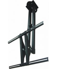 NEWSTAR FLAT SCREEN CEILING MOUNT (HEIGHT: 64-104 CM) 37-75" BLACK