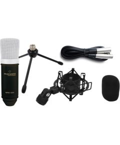 Marantz Professional MPM1000 USB condenser microphone