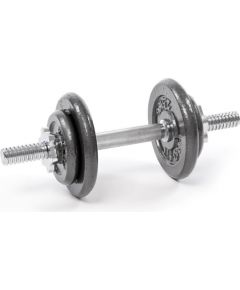 Profit 10kg DK 4126 cast iron dumbbell