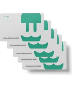 Wallbox Pack 10 RFID Card