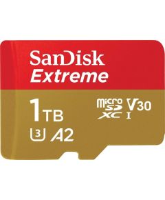 SanDisk Extreme MicroSDXC 1 TB Class 10 UHS-I/U3 A2 V30 (SDSQXAV-1T00-GN6MA)