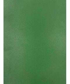 Evelatus  
       Universal  
       Universal Color Shinning A3 Film for Screen Cutter 
     Army Green