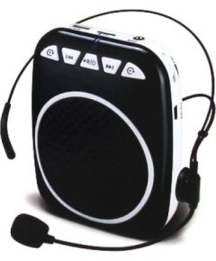 RoGer Pārnēsājams MP3 Skaļrunis Atskaņotājs ar microSD kartes un USB slotu + Mikrofons