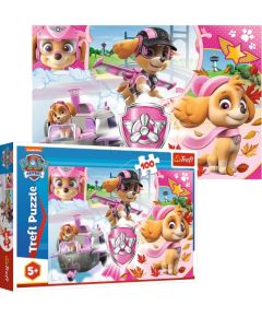 TREFL PAW PATROL Пазл Paw Patrol, 100 шт.