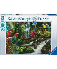 Ravensburger Jigsaw Puzzle, Colorful Parrots in the Jungle (2000 pieces)