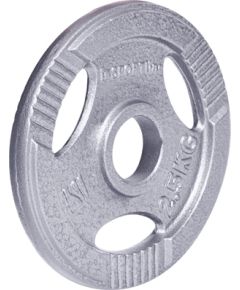 Tērauda atsvars 30 mm satvērējamam 30 mm inSPORTline Hamerton 2,5 kg