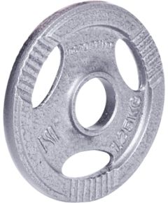 Tērauda atsvars 30mm satvērējamam 30mm inSPORTline Hamerton 1,25kg