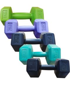 Inny Composite dumbbells S825724 (2x3,00 kg)