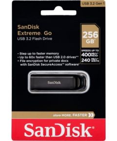 SanDisk Cruzer Extreme GO  256GB USB 3.2 SDCZ810-256G-G46