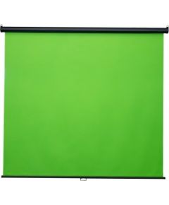 REFLECTA Green Screen Rollo 200x200cm