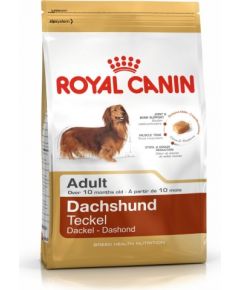 Royal Canin BHN Dachshund Adult - dry food for adult dogs - 1.5kg